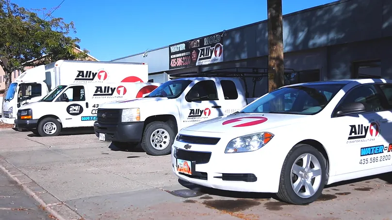 Ally 1 Disaster Solutions - Homepage